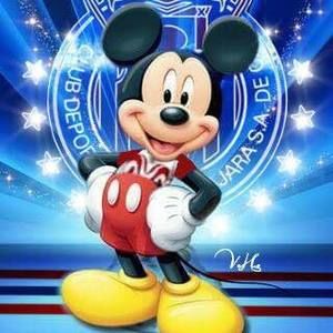 Meet your Posher, Miguel